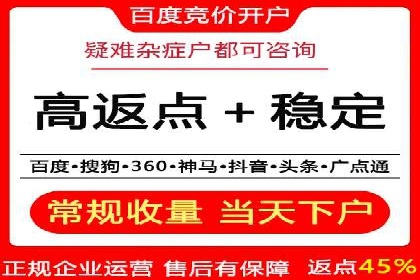 百度竞价与搜索引擎优化（SEO）的协同效应案例